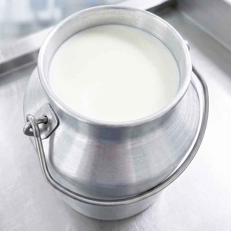 Susu murni dari sapi Friesian Holstein